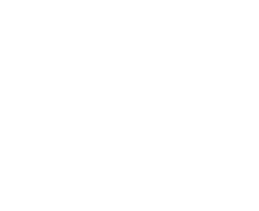 Next Level Training