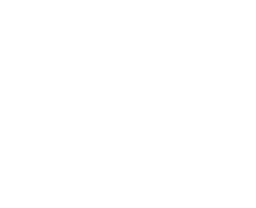 Next Level Training